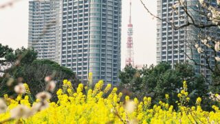 【都心で自然チャージ】汐留駅から5分！浜離宮恩賜庭園で癒されよう