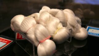 文化庁 日本遺産ポータルサイト特集記事「日本遺産巡り#42◆サムライゆかりのシルク 日本近代化の原風景に出会うまち鶴岡へ」